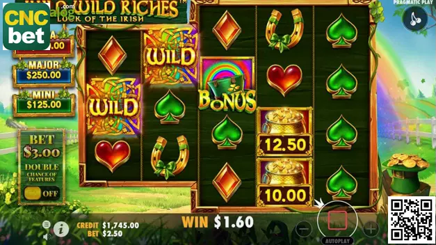 Wild Wild Riches Hero